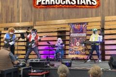 rock-para-ninos