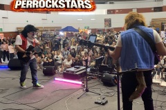 show-infantil